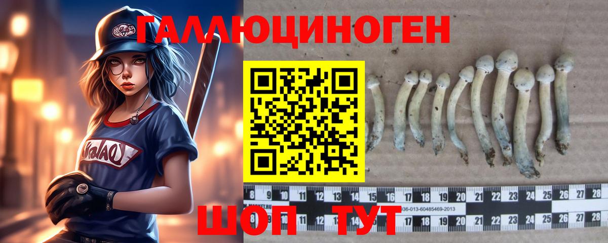 Всеволожск  Галлюциногенные грибы Cubensis  Вход с VPN 